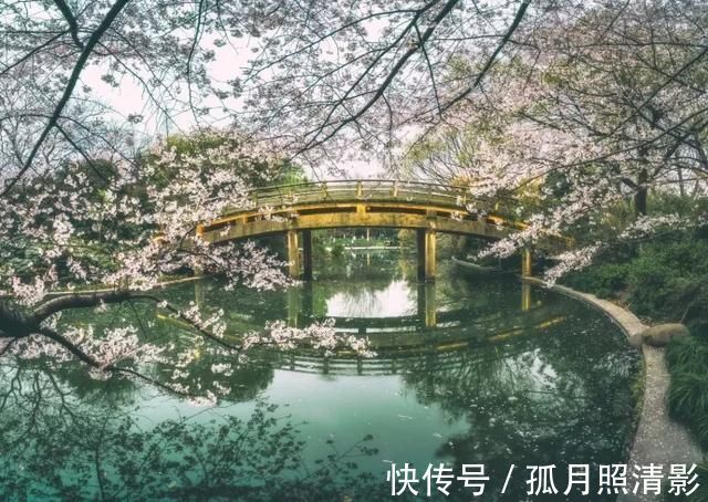 福报#千古奇文《心相篇》20句话,看透人性,诠释人生,百读不厌