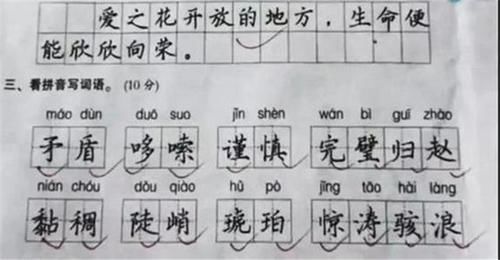 孩子写|小学生考试试卷走红,字迹堪比“印刷体”,阅卷老师直言羡慕