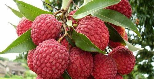 温热性|高血压患者请记住,千万别吃这些食物,吃多了血压蹭蹭往上涨