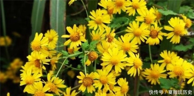 晚秋情诗小山词:红叶黄花秋意晚