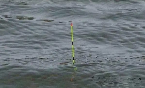 双钩半水调漂技巧全解析,熟练掌握,钓起鱼来轻松不少!