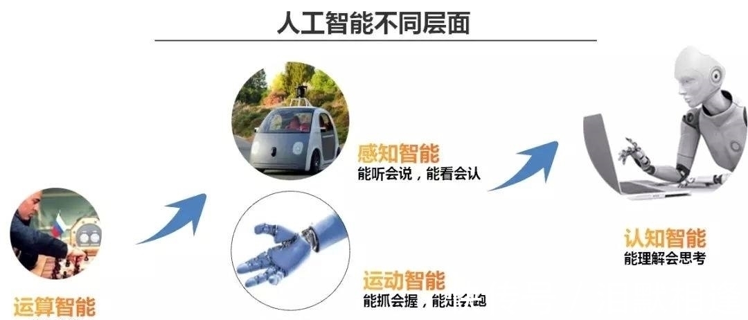 脑力劳动|人工智能会取代人类,让很多人失业吗?