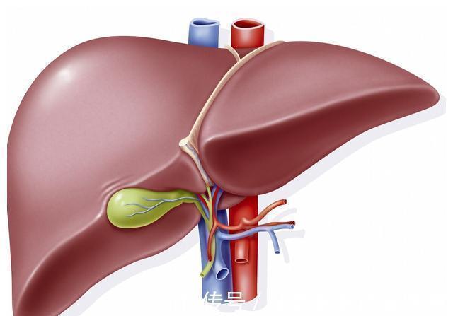 治疗|结直肠癌不能手术了?这些药物治疗可以了解一下