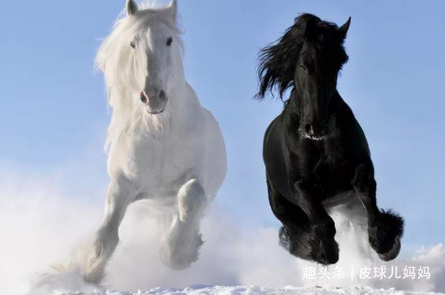 宝妈|生孩子要看属相4个属相的孩子有优势,孩子比同龄人更聪明