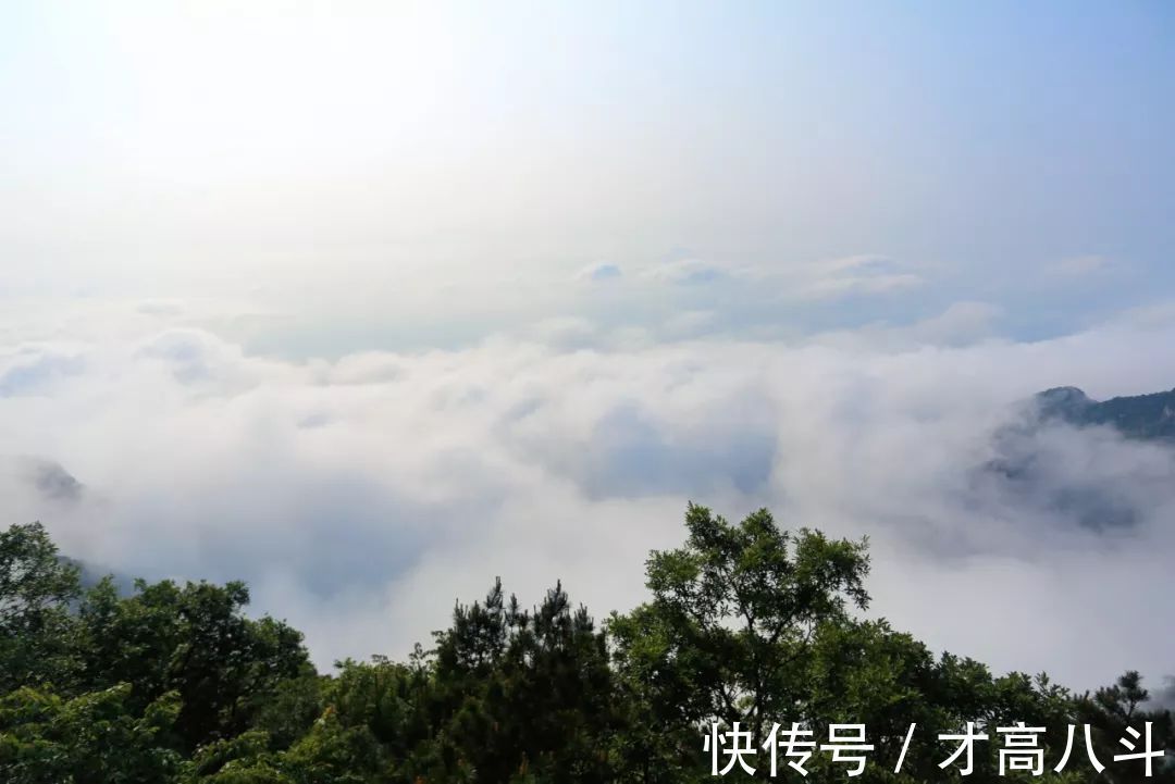 刘禹锡!酒后的刘禹锡写下一首名作,第五句最经典