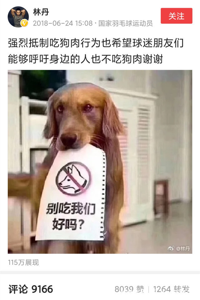 养狗|CBA球员吐槽无法接受吃狗肉,林丹曾呼吁球迷:抵制吃狗肉行为!