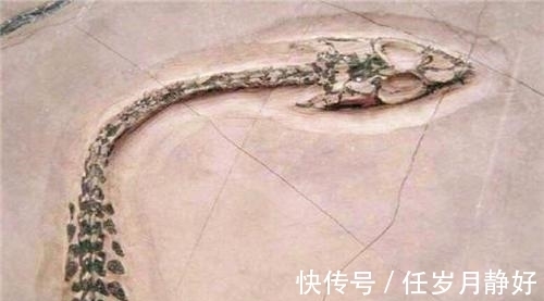 夏朝$最后两条龙被夏朝人吃了?民间传说是真的吗?