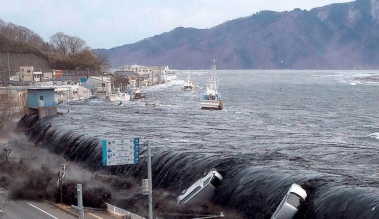 凶手|刘志丹是被谁打死的，凶手后来被陈赓活捉，最后结局意想不到