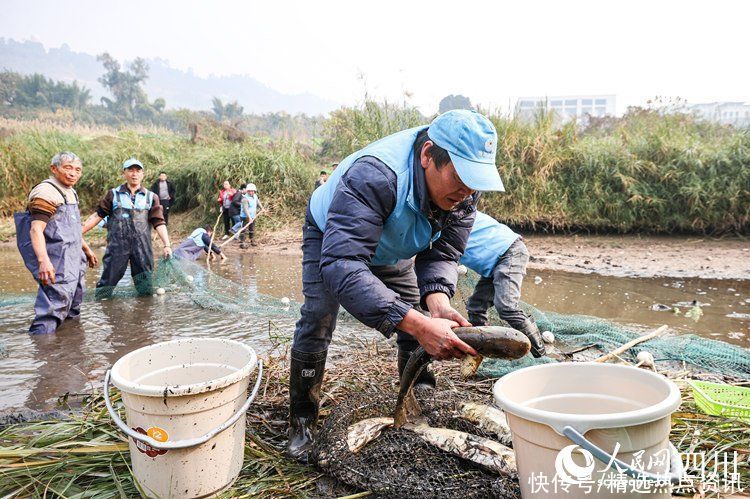 宜宾翠屏：打捞救助被困鱼群 助鱼回到安全水域