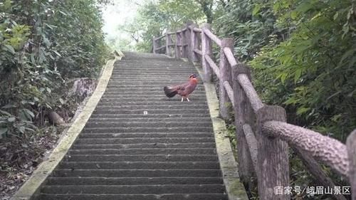 仙峰寺，可不止拜财神，更让人赞叹的还有这些