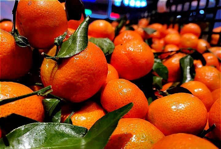 买砂糖橘，选有叶子还是没叶子的？果农：牢记“4不要”，别乱买
