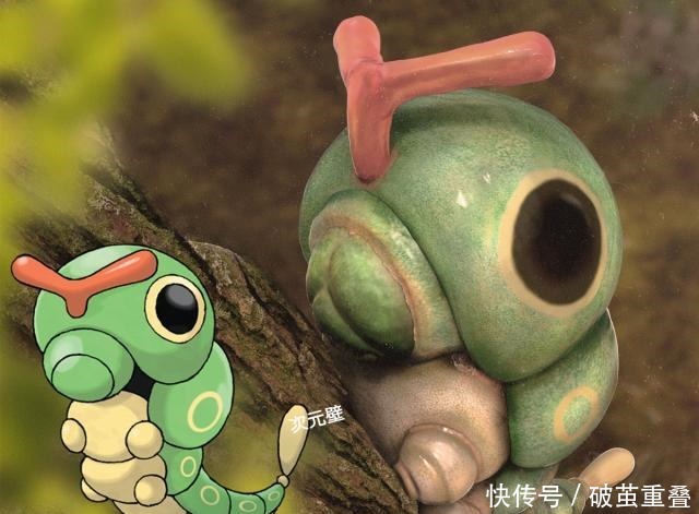 看上去|精灵宝可梦“现世版”皮卡丘“瘦身”成功，美纳斯“美成画”！