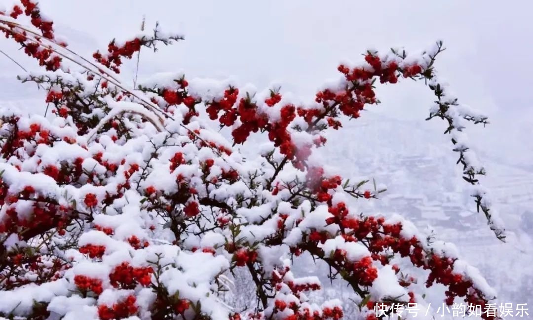 写意天池，童话天子山，一波云龙雪景美图来袭