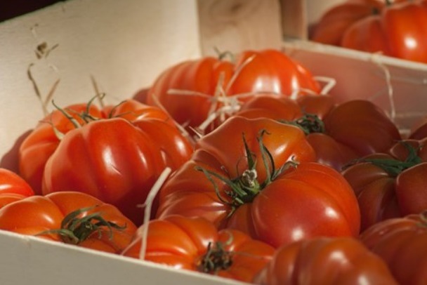 橘子|夏天常吃4种食物,不仅延缓衰老,还有许多的好处,尤其适合老人