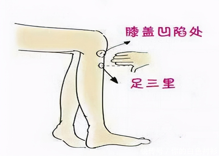 答案|怎么调理阳虚体质答案都在这里