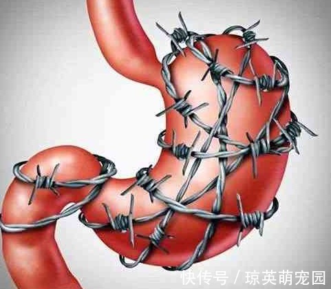 蒲公英|胃癌多是自己“养”起来的,专家忠言:5种食物,还是少碰为好