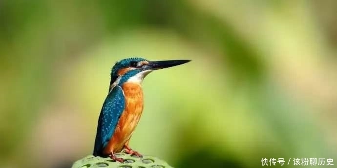 成功|《道德经》:人生最高境界,就是“无”