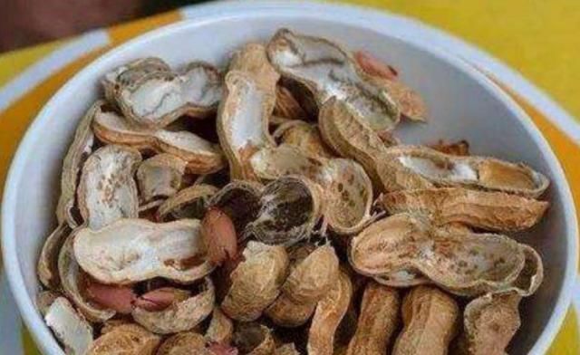 花盆里放这“4种料，”叶子越长越肥，土壤不板结，花开一朵朵