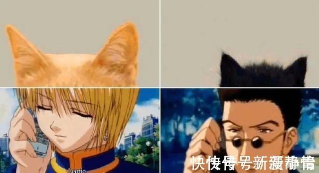 布加拉提|把动漫人物换成“猫猫头”,人物顿时显得可爱了,但布姐yyds