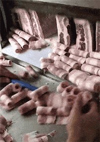 |搞笑GIF趣图:最近手头紧,看什么都像百元大钞!