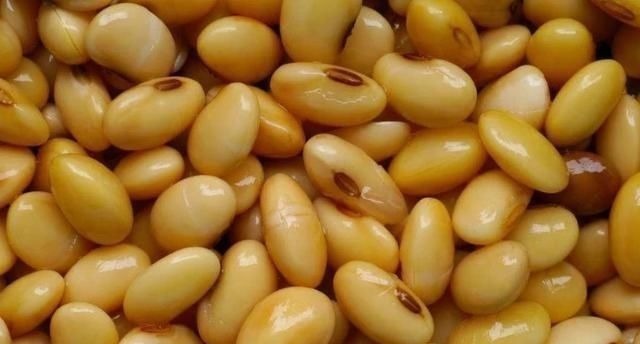 雪燕|此物是天然“雌激素”,女人常吃,养颜护肤,越吃越有女人味