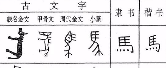 他用甲骨文写高考作文,得6分仍被录取,培养