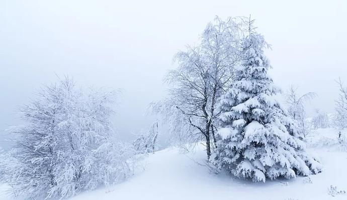 八宝饭&美好食间 | 大雪寒渐浓，万物冬藏待春来