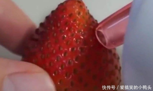 黑头吸出器|小伙用黑头吸出器给草莓“去黑头”,会发生什么?结果让人意外