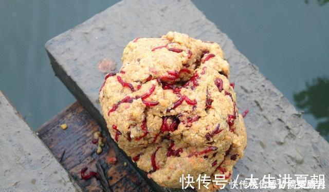 诱饵|农村小伙钓鱼就是狠,这样打窝,钓鱼钓到手发软