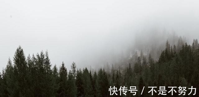 白羊座|2周后，风柔雨润，花好月圆，旧情缠绵，回首相依，许你三世情缘