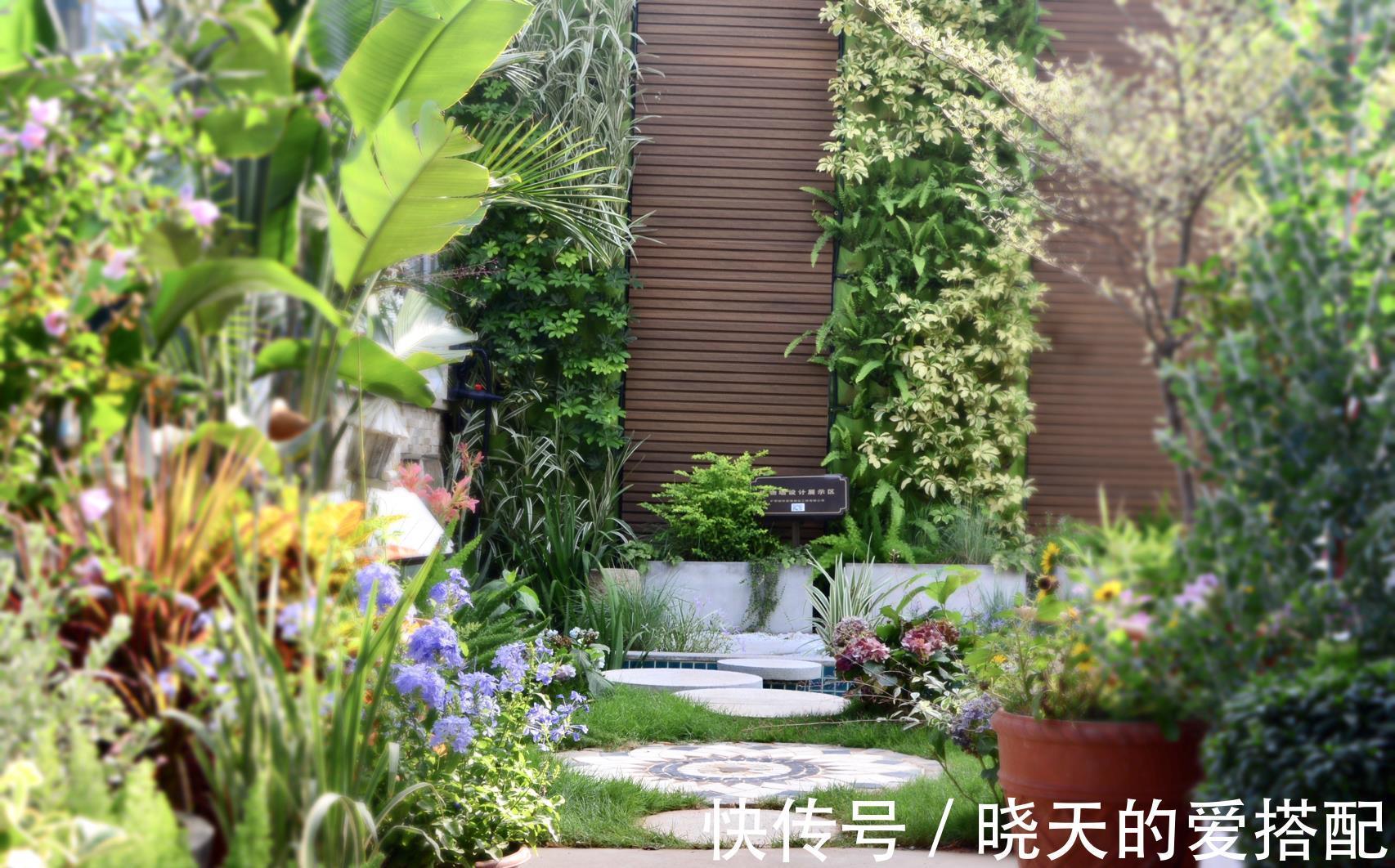 治愈系|小空间庭院花园,正确的绿植搭配技巧,让小院落变身治愈系小花园