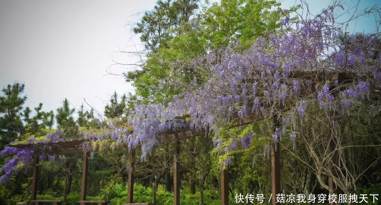 中华奇石城举办主题花卉展活动，向最美劳动者致敬