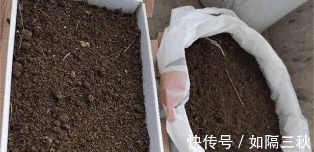 家庭养花，土从哪里来3个方法，不花一分钱，就能自制营养土了！