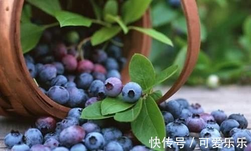 毒素|女性想美容，多吃3种食物，排出毒素，缓解经痛，滋养女性子宫