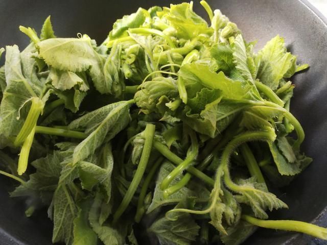 宿便|这蔬菜浑身都是宝，一分钱不花，刮油清肠排宿便，可惜很多人扔掉