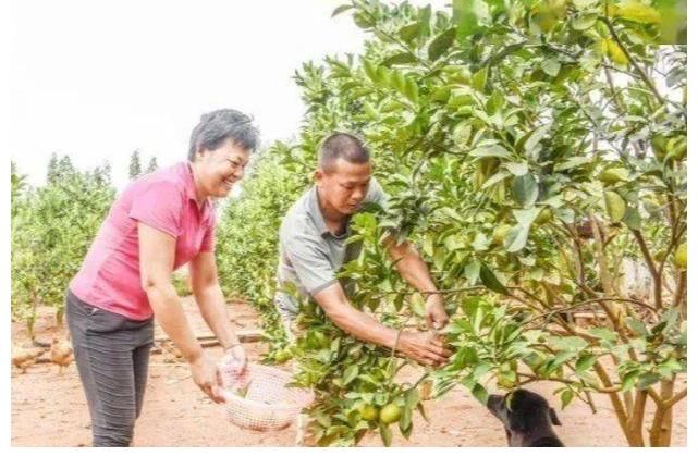 跳台|这才是真正的“全村的希望”，全红婵为国争光，全村人为她庆祝