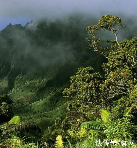 这个地方一年之内只有30天不会下雨，被称为世界“极湿”之地