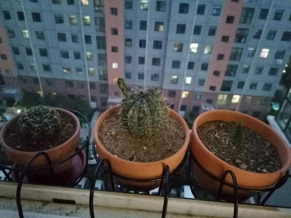 白醋|4个擦玻璃的小妙招，只要记住一个，玻璃就能光亮如新