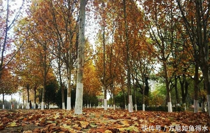 实拍北京最大的湿地，曾是五朝皇家猎场，燕京十景之一