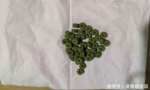 饵料|钓鲫鱼久不发窝，不妨试试这几种打窝方式，鱼口马上会有变化