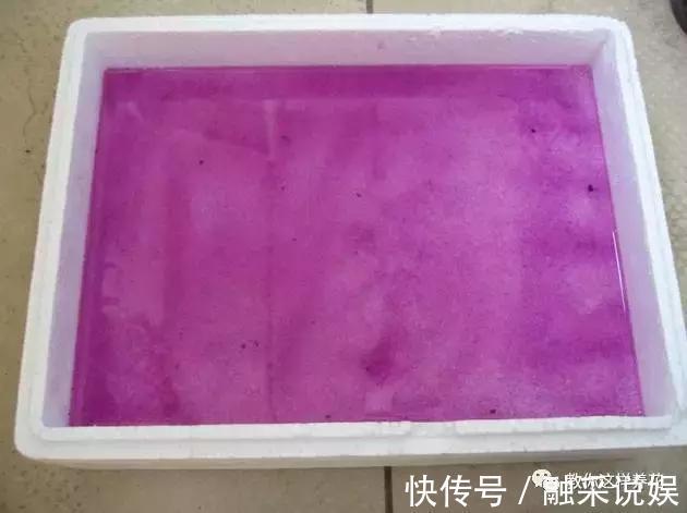 1把沙子撒盆里，土不板结根不烂，叶不黄小飞虫也没了！