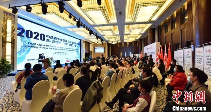 论坛|2020中英青少年艺术与科学教育论坛成功举办