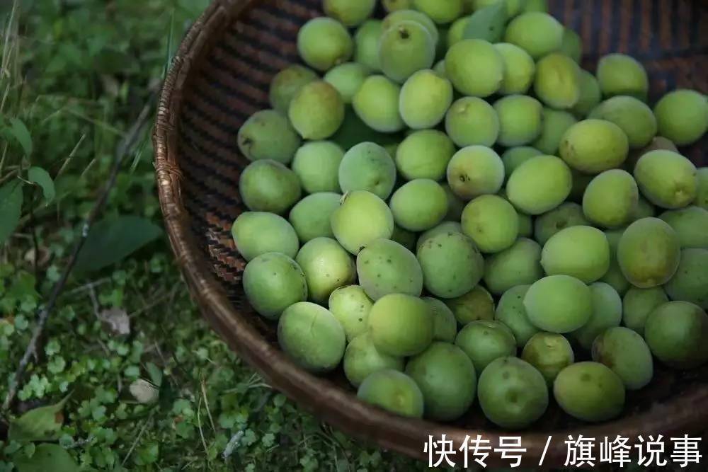 梅子|这个巨好吃的前菜,不允许你没吃过!