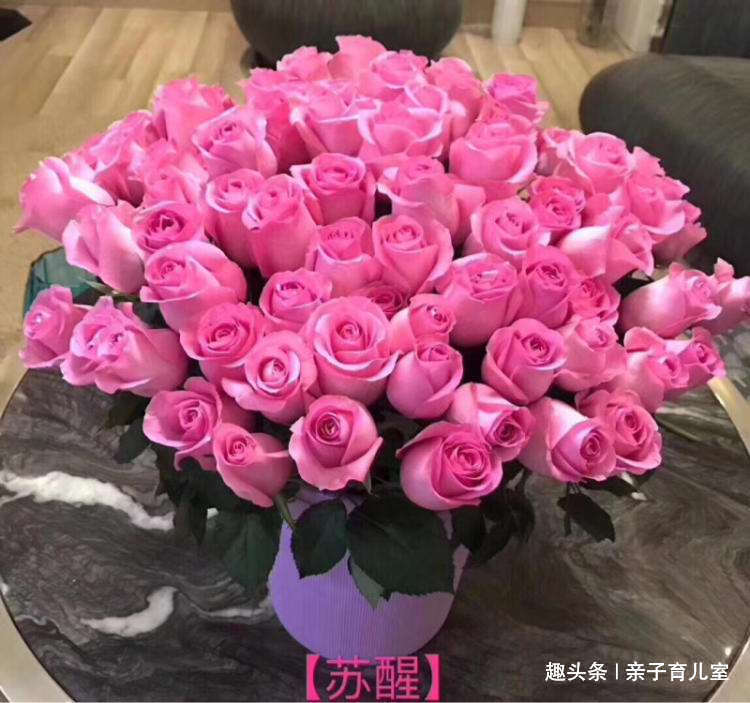 喜欢菊花,一定要养盆“玫瑰精品”苏醒玫瑰,碧叶红花,流光溢彩