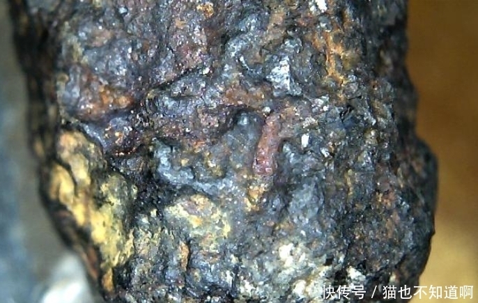 巨资 唯一一位被陨石砸到的人,有人以巨资收购,结果因贪婪失去了一切