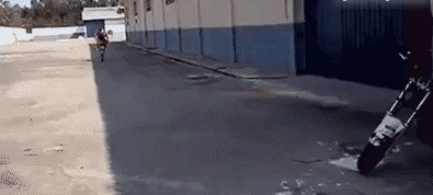 |搞笑GIF:好奇害死猫啊,而且还容易招打,哈哈哈