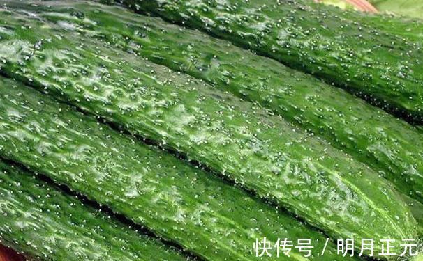 番茄|黄瓜的“死对头”,两者不可同食,尤其最后一种,快告诉家里人!