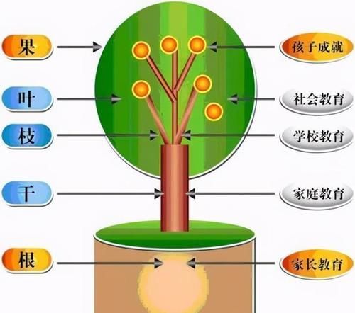 家长|为什么说让家长辅导作业很扯？这不就相当于让家属完成术后护理吗