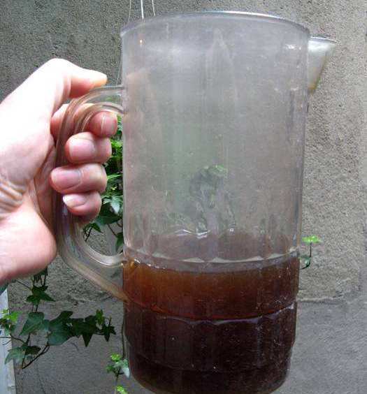 张大爷养虎皮兰,浇水施肥只用“它”,半年养出60多盆,太漂亮了