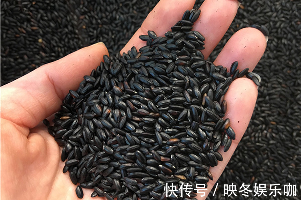 糖尿病|黑米能补气血降血糖？黑米更适合糖尿病患者吃？专家说法的确中肯